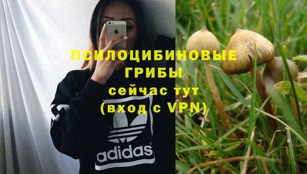 бутират Липки